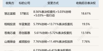 小比例转让+表决权安排：A股控制权交易新玩法密集涌现 监管新规是否暗藏变数？