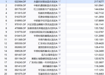 基金年底排名战即将收官 第一名收益率断崖式领先 那些「翻倍基」能不能买？