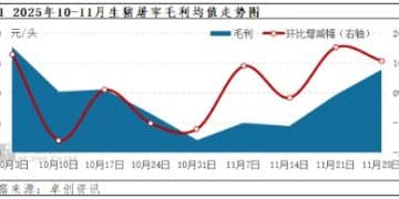 屠宰量增加、毛白价差拉大 预计12月生猪屠宰毛利或有继续上涨可能
