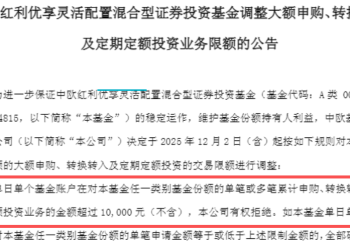 限购再加码！绩优基金纷纷宣布「闭门谢客」