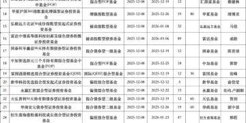 大爆发！38只新发！