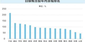 白银价格年内已翻倍 13只概念股估值低