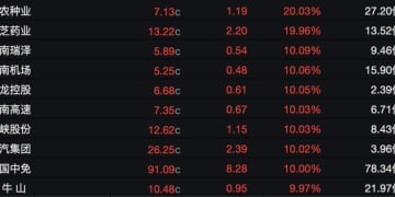 海南封关带火旅游消费：三亚免税销售连续4天破亿 备婚情侣「打飞的」买金 「有望成为全球度假胜地」