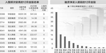 机构研判跨年行情「有戏」 197股入围券商12月金股名单