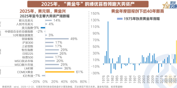 2026年 黄金还能上车吗？