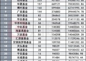 谁拿走了沐曦股份的最多筹码？公募获配占比过半 私募只能排队上车