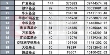 谁拿走了沐曦股份的最多筹码？公募获配占比过半 私募只能排队上车