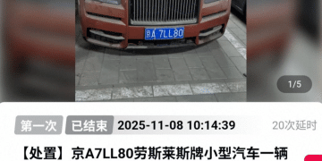 涉案金额13.9亿元！知名女星前夫资产被拍卖