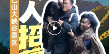 火了！4A级景区急招「野人」：日薪200元，朝九晚五，上班不能说人话只能「嗷嗷叫」，喜欢上蹿下跳者优先！回应：已有数百条报名信息