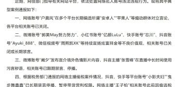 网信部门查处「户晨风」等名人账号违法违规行为！「张雪峰」在直播中长时间使用污言秽语，已限期禁言、停播