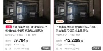 停工4年、五六折挂牌拍卖仍无人出价 上海奉贤这座万达广场二次流拍