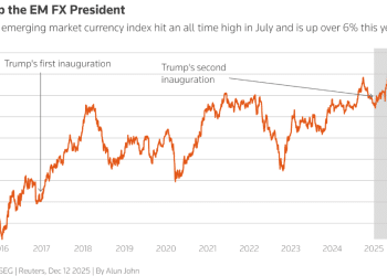 特朗普2.0时代的又一赢家：新兴市场货币！