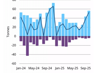 世界黄金协会：各国央行10月份加大黄金购买力度