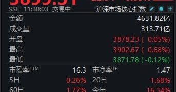 A股震荡走强，沪指半日收涨0.59%