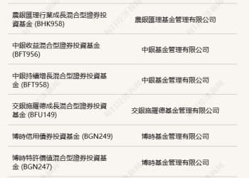 中国基金出海：多元工具架桥，未来静待花开