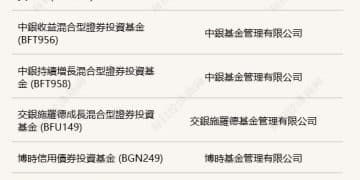 中国基金出海：多元工具架桥，未来静待花开