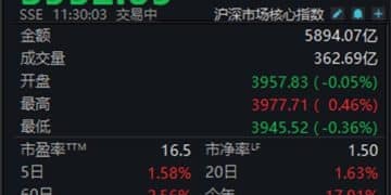两市午前跳水，沪指半日微跌0.19%