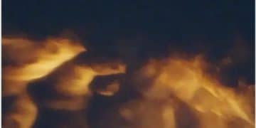 马斯克，重大宣布！欧盟也有大动作