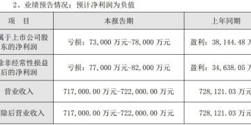 光环新网2025年预亏超7亿元，预计计提近9亿元商誉减值准备致业绩「变脸」