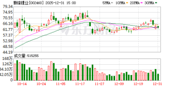 从行政监管到刑事追责 赣锋锂业内幕交易案进入司法终局