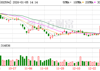 比亚迪：2025年新能源汽车累计销量460万辆 同比增长7.73%