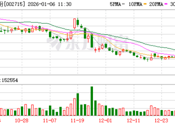 涉嫌非法吸收公众存款罪 登云股份实控人杨涛被批捕 公司：未任职董事、高管，无重大影响