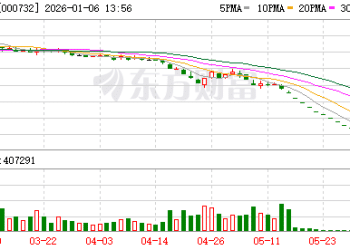 历时近五个月 泰禾集团董事长黄其森解除留置措施