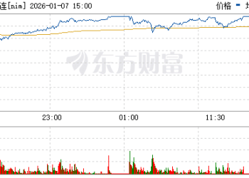 热点 | 印尼政策刺激镍价走强 沪镍盘中一度触及涨停