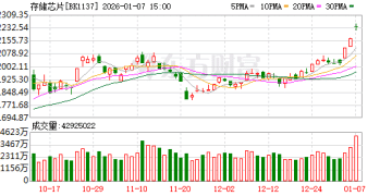 涨价潮持续+英伟达新动作 存储芯片股集体大涨 这些票获机构扎堆调研(名单)