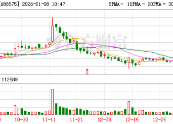 上交所深夜火速出手！两科创板公司被监管警示
