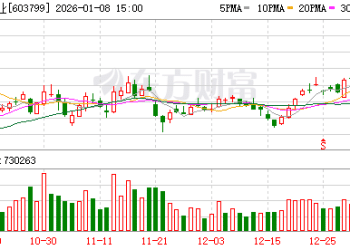 镍价暴力反转 「牛散」章建平又踩中了风口 华友钴业增长能否延续？