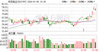 镍价暴力反转 「牛散」章建平又踩中了风口 华友钴业增长能否延续？