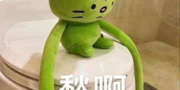 为什么我开始减少逛技术社区，而是去读非技术的书？