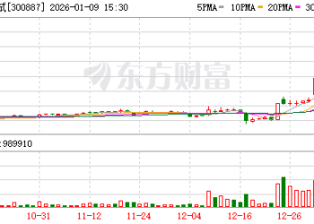 「4天3板」谱尼测试：预计2025年最少亏损2亿元