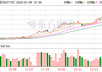 上交所：本周对*ST正平、*ST亚振、国晟科技、航天动力、天普股份等波动幅度较大的股票进行重点监控