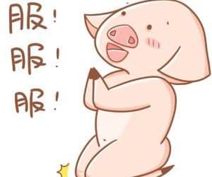 同事查日志太慢，我现场教他一套 grep 组合拳！