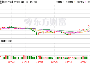 多重利好叠加释放 脑机接口板块「带飞」持仓基金净值