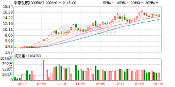 平潭发展：预计2025年年度归属于上市公司股东的净利润为负值