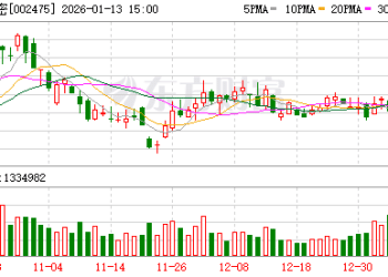 立讯精密：终止收购印度闻泰业务资产包