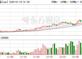锡价创历史新高 现货市场整体成交冷淡