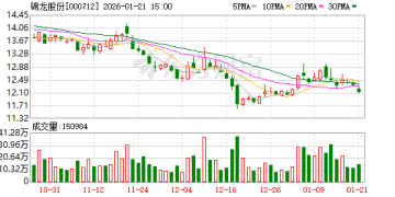 中山证券卷入4.9亿元纠纷 被要求承担连带赔偿责任