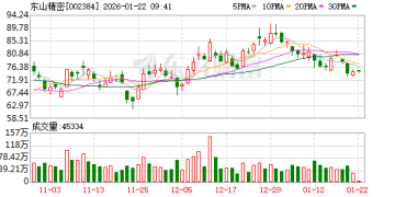 去年公募冠军基最新重仓股出炉：东山精密、景旺电子、剑桥科技新晋前十