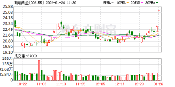 重大资产重组！两只A股突发公告！