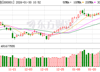 白酒板块绝地反击！暴涨原因找到了！