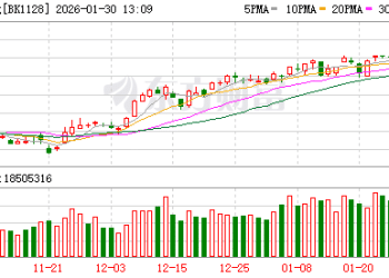 逆势走强！CPO概念早间大涨 13股净利润同比预增超60%