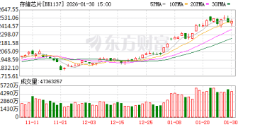 存储巨头业绩持续兑现 这些概念股获融资客亿元加仓(名单)