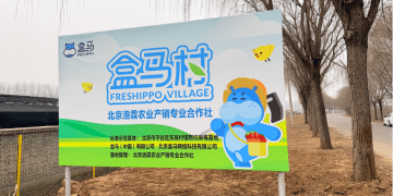北京平谷有机草莓「盒马村」挂牌 「盒区房」居民尝鲜正当时
