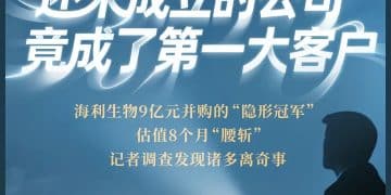 海利生物增值9倍并购的企业，估值八个月即「腰斩」，其第一大客户竟是尚未成立的公司，离奇的事还不少……