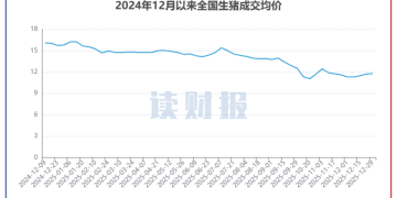 【读财报】上市猪企12月销量同比上升3.51% 金新农、正邦科技销量增速超过70%