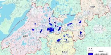 「洼地」组团，能否撑起长三角新一极？